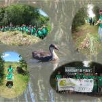 Mejora de los humedales: Marismas de Alday, 27 de junio