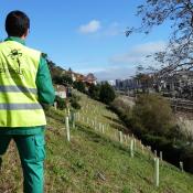 Voluntariado ambiental de Santander Capital Natural